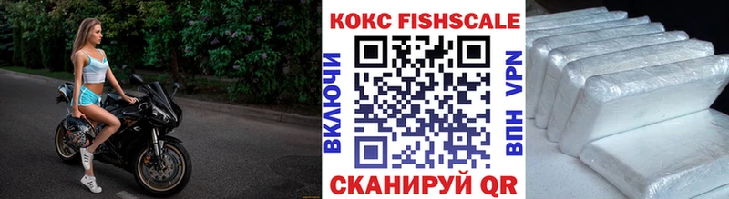 COCAIN Fish Scale  Сорск 
