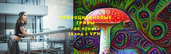 прущая мука Надым