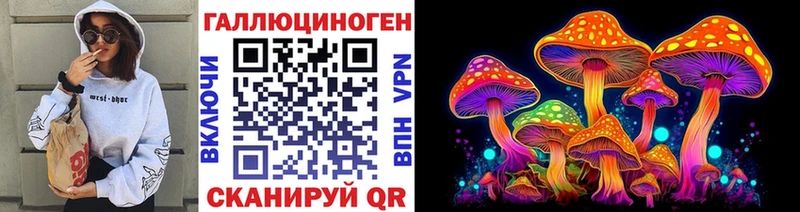 Галлюциногенные грибы мицелий  закладка  Сорск 
